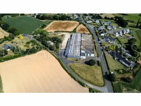 vente entrepôt 2 161 m²