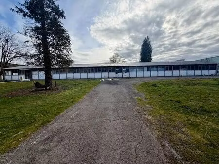 vente entrepôt 700 m²