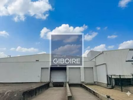 vente entrepôt 8 700 m²