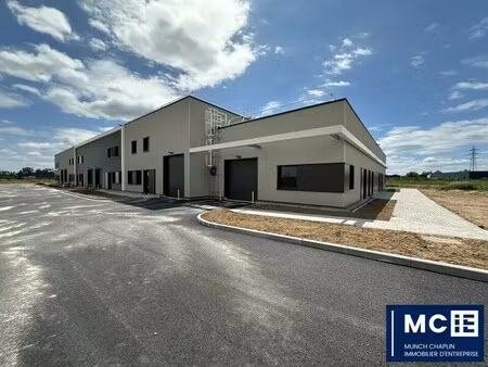 vente local d’activités bergheim 68750 150m² à 3012m²