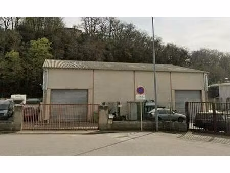 vente local d'activités 460 m²
