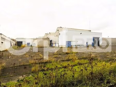 vente entrepôt 1 000 m²