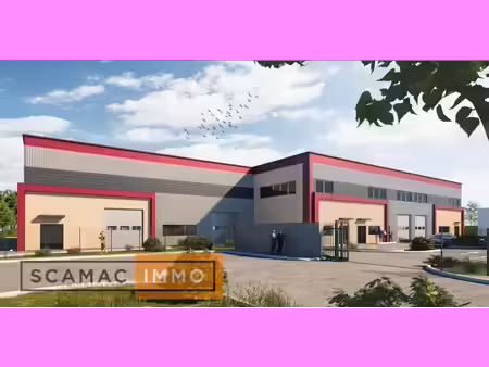 vente local d’activités angerville 91670 475m²