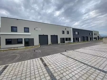 vente local d’activités bergheim 68750 300m² à 2400m²