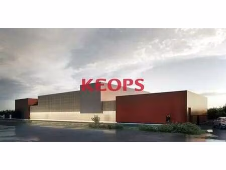 vente local d’activités saint sulpice la pointe 81370 255m² à 1627m²