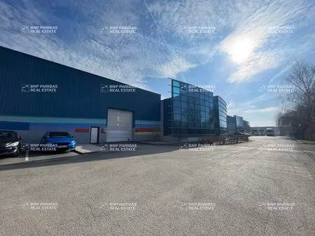 vente local d’activités chevigny-saint-sauveur 21800 6215m²