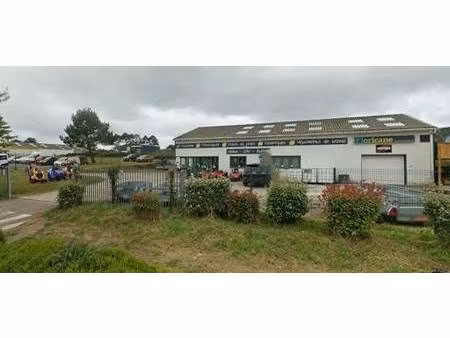 vente local d'activités 250 m²