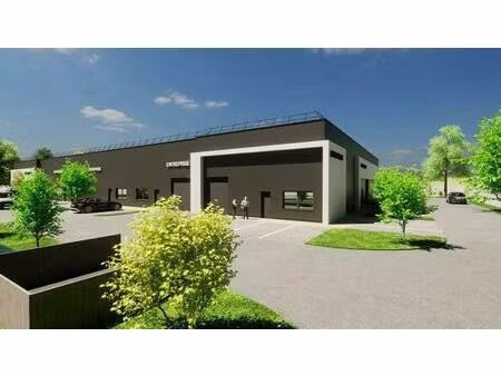 vente local d’activités goxwiller 67210 156m²
