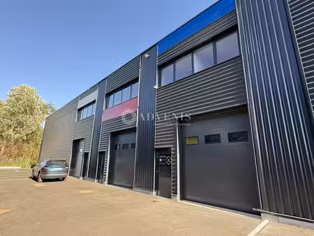 vente local d’activités bischheim 67800 187m² à 379m²