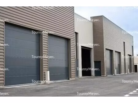 vente local d’activités saint georges d orques 34680 246m² à 756m²