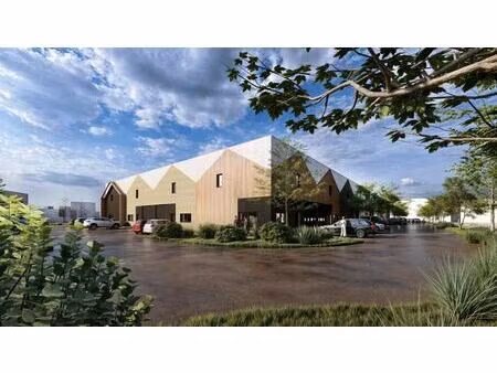 vente local d’activités soufflenheim 67620 100m² à 4000m²