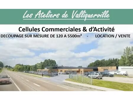 vente local d'activités 3 000 m²