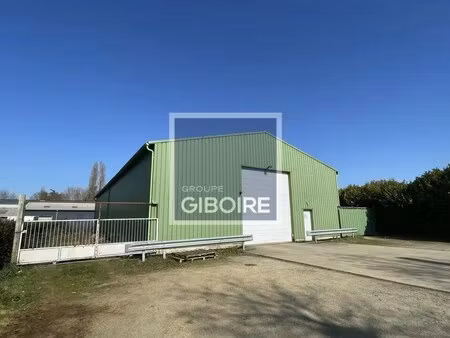 vente entrepôt 450 m²