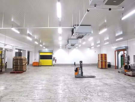 vente entrepôt 3 250 m²