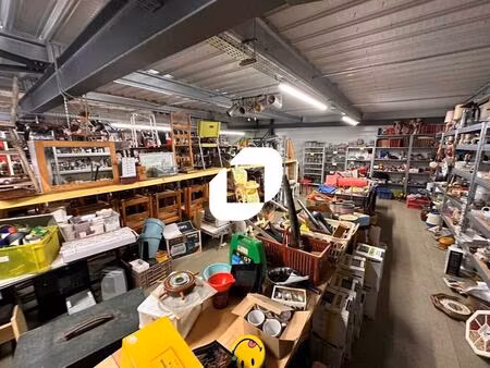 vente local d’activités montussan 33450 302m²