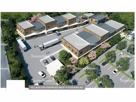 vente local d’activités sussargues 34160 260m² à 523m²