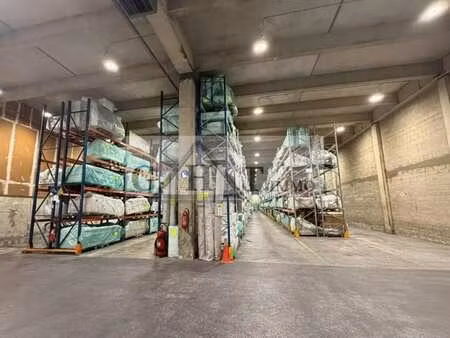 vente entrepôt 3 784 m²