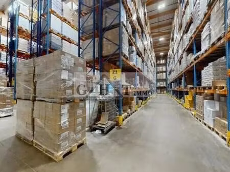 vente entrepôt 9 000 m²