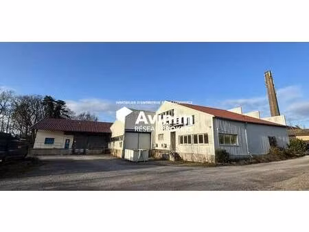 vente entrepôt 2 595 m²