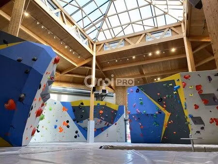 vente local d'activités 2 500 m²