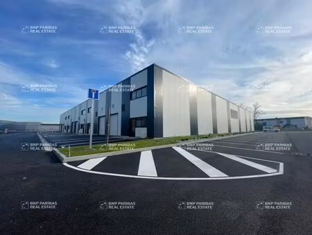 vente local d’activités blanquefort 33290 237m² à 991m²