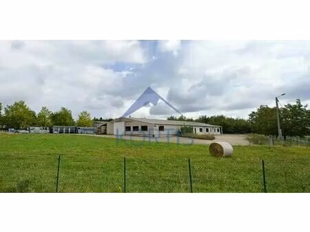 vente local d’activités chaveyriat 01660 1600m²