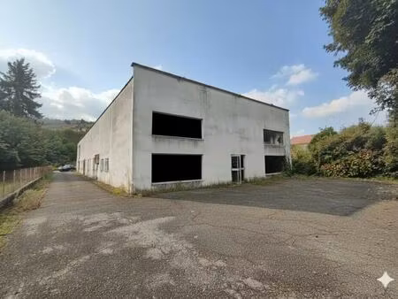 vente local d’activités bourgoin jallieu 38300 600m²