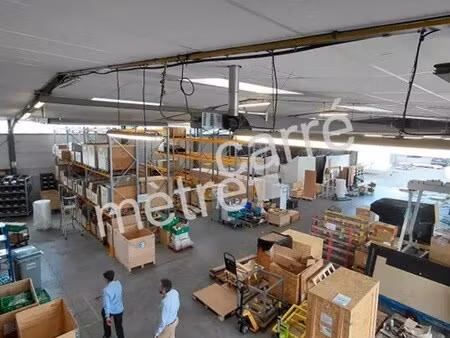 vente local d’activités la chapelle-sur-erdre 44240