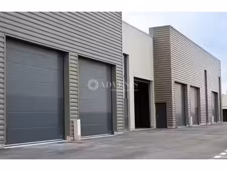 vente local d’activités saint-georges-d’orques 34680 255m²