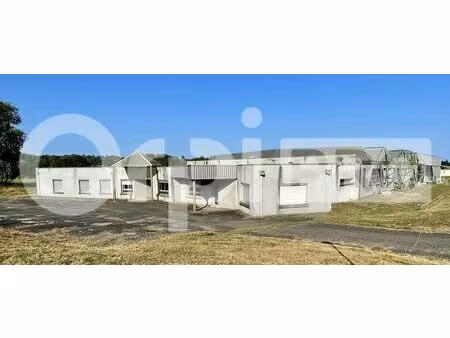 vente local d'activités 1 306 m²