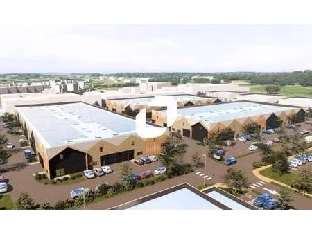 vente local d’activités soufflenheim 67620 100m² à 4000m²