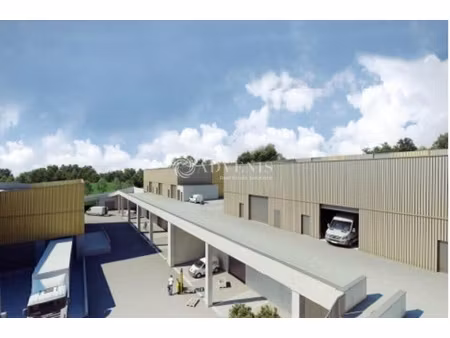 vente local d’activités villeneuve les maguelone 34750 690m²