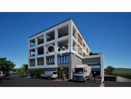 vente local d’activités genas 69740 919m²