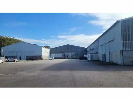 vente local d'activités 537 m² à 5 618 m²