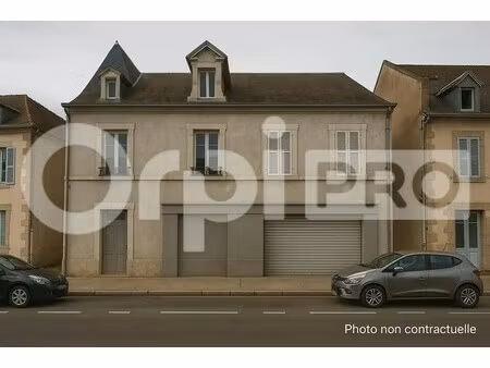vente local d’activités villefranche d allier 03430 590m²