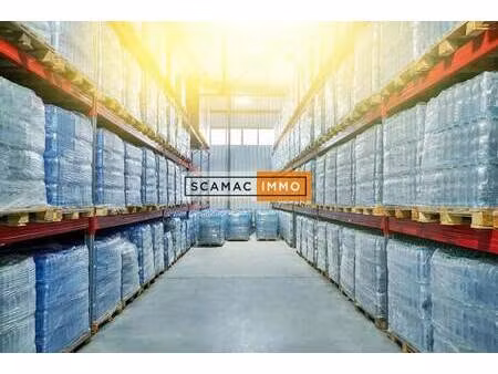 vente entrepôt 2 500 m²