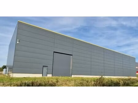 vente entrepôt 1 000 m²
