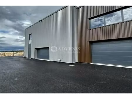 vente local d’activités vailhauques 34570 350m²