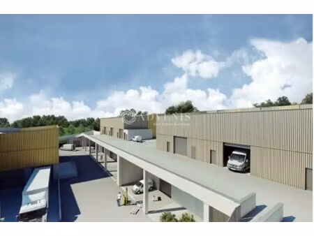 vente local d’activités villeneuve les maguelone 34750 230m²