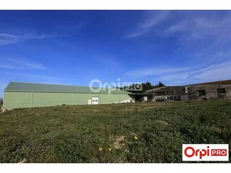 vente entrepôt 1 260 m²