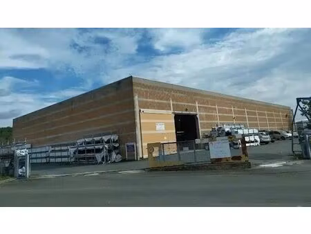 vente local d'activités 4 358 m²