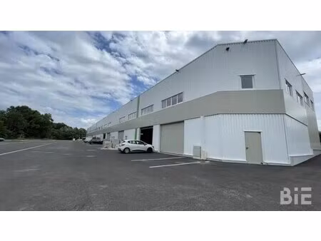 vente local d’activités tresses 33370 245m² à 1234m²