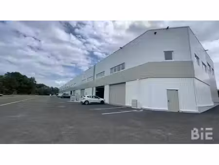 vente local d’activités tresses 33370 295m² à 1230m²