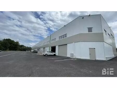 vente local d'activités 245 m² à 1 234 m²