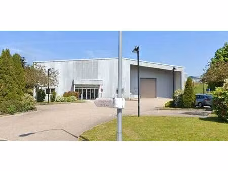 vente entrepôt épinal 88000 1150m²