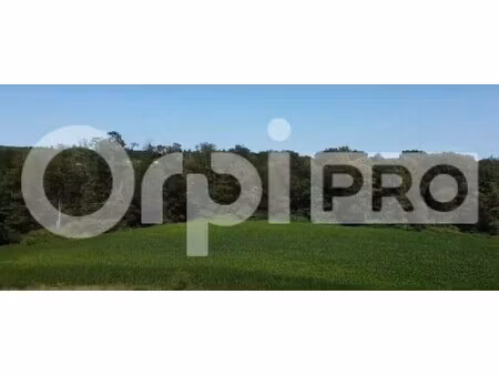 vente entrepôt 324 229 m²