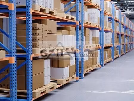 vente entrepôt 56 m² à 1 000 m²