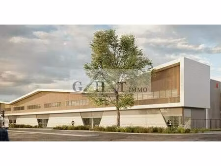 vente entrepôt 264 m²