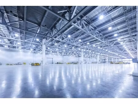 vente entrepôt wolfgantzen 68600 2473m² à 7487m²