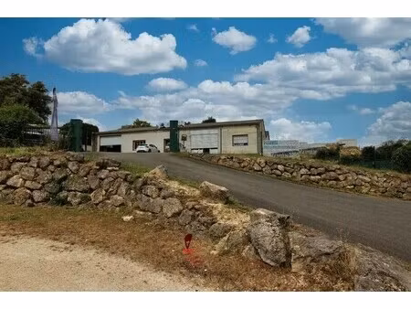 vente local d'activités 460 m²